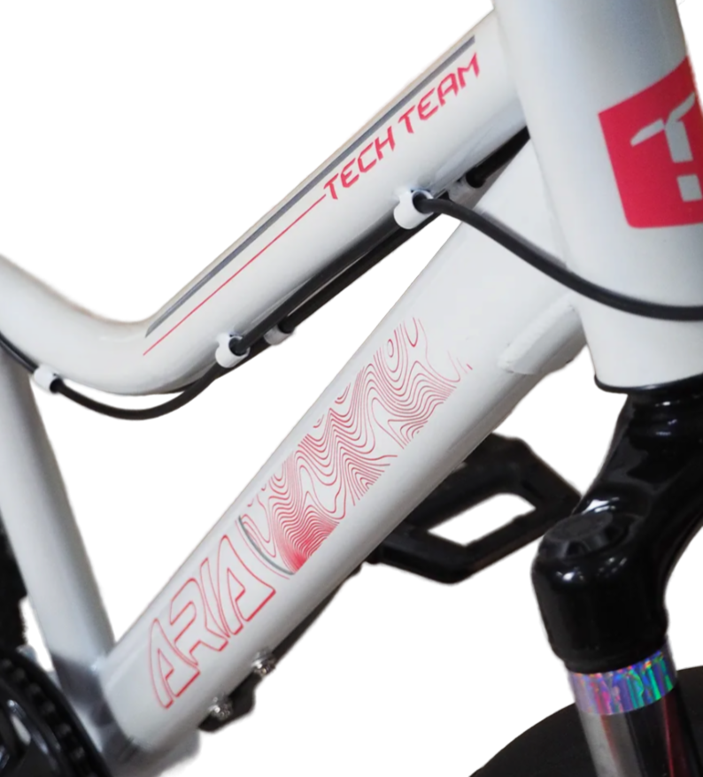 Велосипед 22 TT Aria