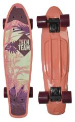 Пенни борд TT Kiwi 22