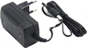 Зарядное устройство для электромобиля 12v 1.0 Ah