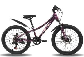 Велосипед 22 TT Spectra
