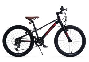 Велосипед 20 Maxiscoo 7BIKE M200
