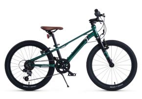 Велосипед 20 Maxiscoo 7BIKE M200