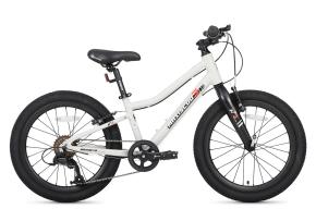 Велосипед 20 Maxiscoo 3BIKE L