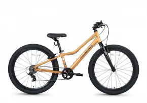 Велосипед 24 Maxiscoo 5BIKE L